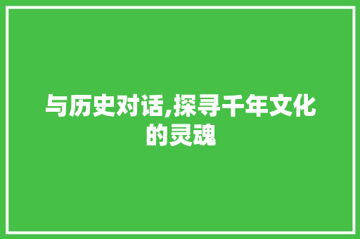 与历史对话,探寻千年文化的灵魂