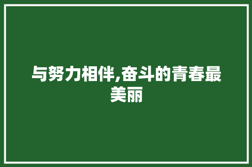 与努力相伴,奋斗的青春最美丽