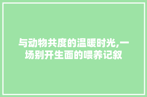 与动物共度的温暖时光,一场别开生面的喂养记叙