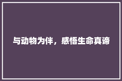 与动物为伴，感悟生命真谛