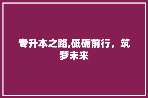 专升本之路,砥砺前行，筑梦未来