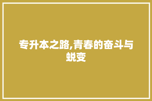 专升本之路,青春的奋斗与蜕变