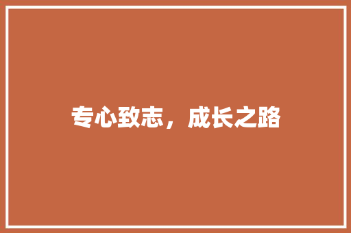 专心致志，成长之路