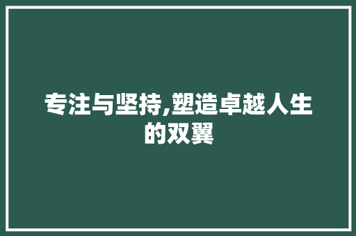 专注与坚持,塑造卓越人生的双翼