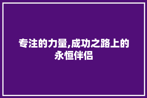 专注的力量,成功之路上的永恒伴侣