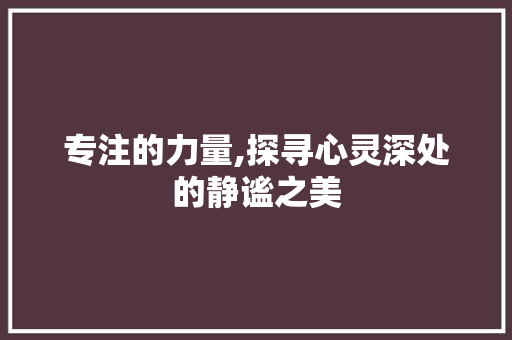 专注的力量,探寻心灵深处的静谧之美