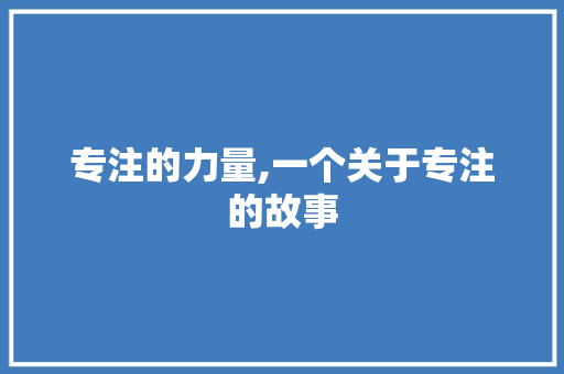 专注的力量,一个关于专注的故事