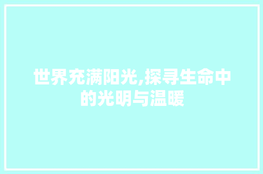 世界充满阳光,探寻生命中的光明与温暖