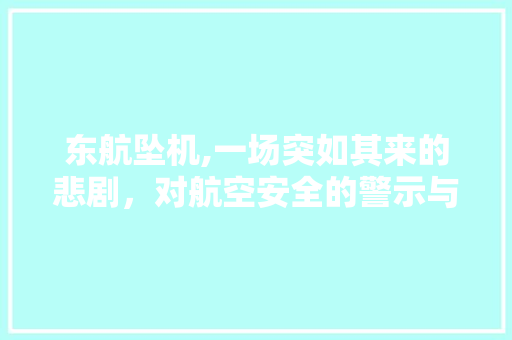 东航坠机,一场突如其来的悲剧，对航空安全的警示与反思