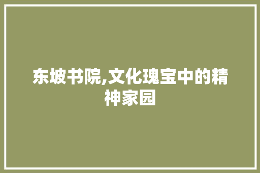 东坡书院,文化瑰宝中的精神家园