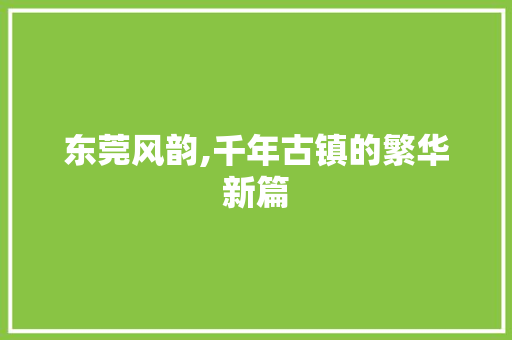 东莞风韵,千年古镇的繁华新篇