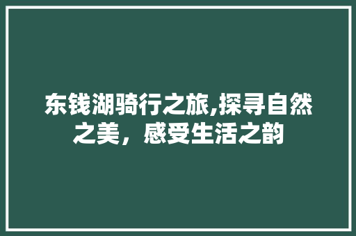 东钱湖骑行之旅,探寻自然之美，感受生活之韵