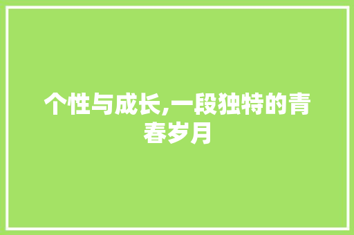 个性与成长,一段独特的青春岁月