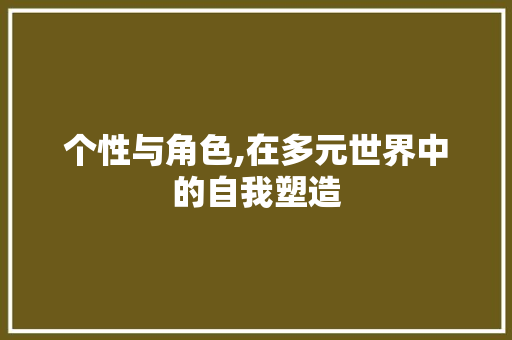 个性与角色,在多元世界中的自我塑造