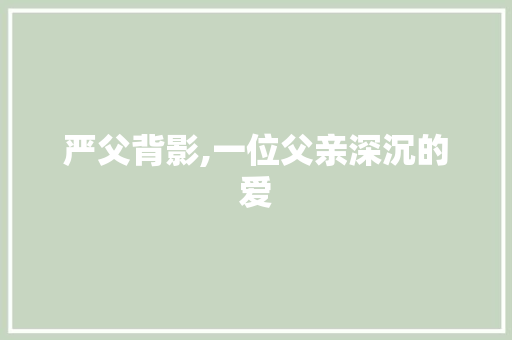 严父背影,一位父亲深沉的爱