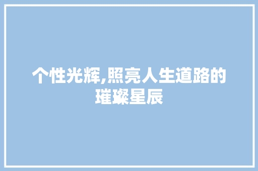 个性光辉,照亮人生道路的璀璨星辰