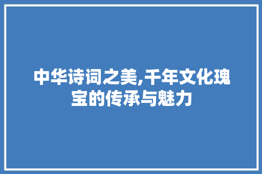 中华诗词之美,千年文化瑰宝的传承与魅力