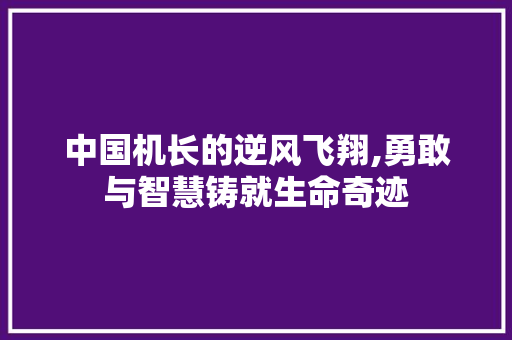 中国机长的逆风飞翔,勇敢与智慧铸就生命奇迹