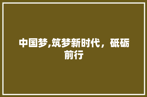 中国梦,筑梦新时代，砥砺前行