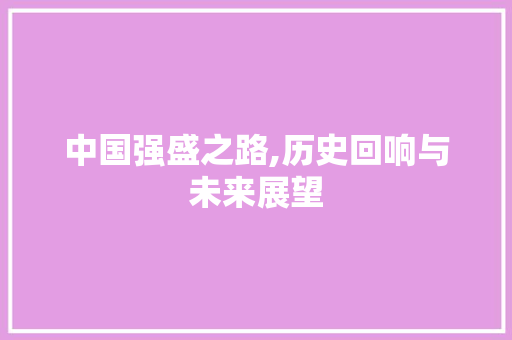 中国强盛之路,历史回响与未来展望