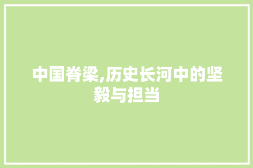 中国脊梁,历史长河中的坚毅与担当