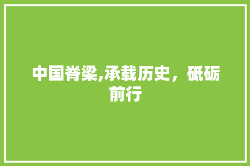 中国脊梁,承载历史，砥砺前行