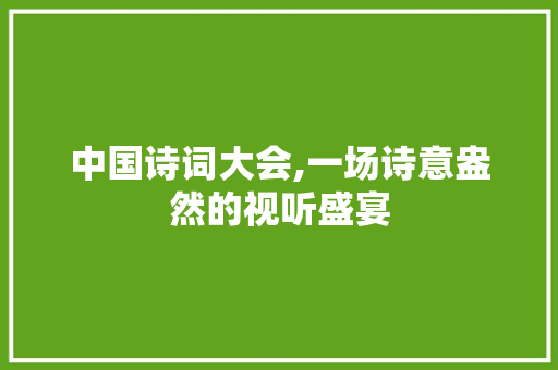 中国诗词大会,一场诗意盎然的视听盛宴