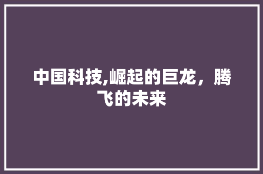 中国科技,崛起的巨龙，腾飞的未来