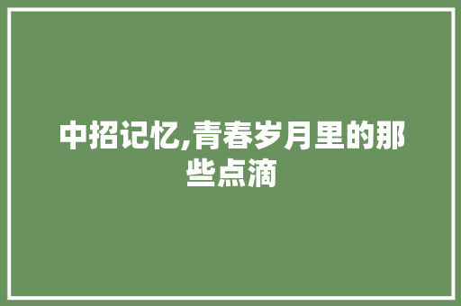 中招记忆,青春岁月里的那些点滴