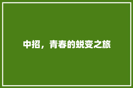 中招，青春的蜕变之旅