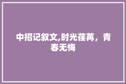 中招记叙文,时光荏苒，青春无悔