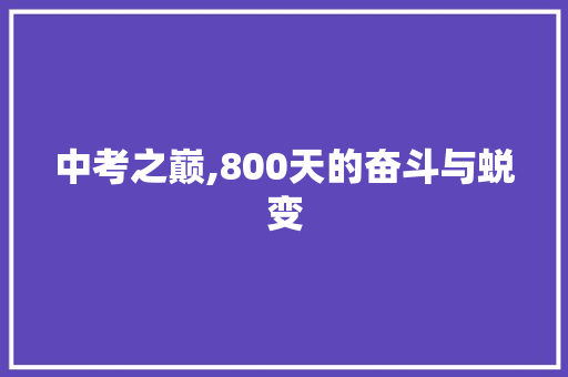 中考之巅,800天的奋斗与蜕变