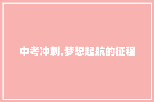 中考冲刺,梦想起航的征程