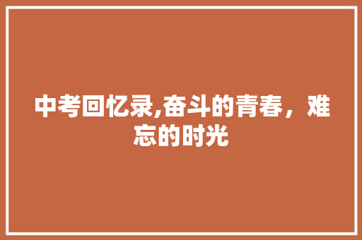 中考回忆录,奋斗的青春，难忘的时光