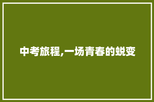 中考旅程,一场青春的蜕变