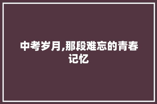 中考岁月,那段难忘的青春记忆