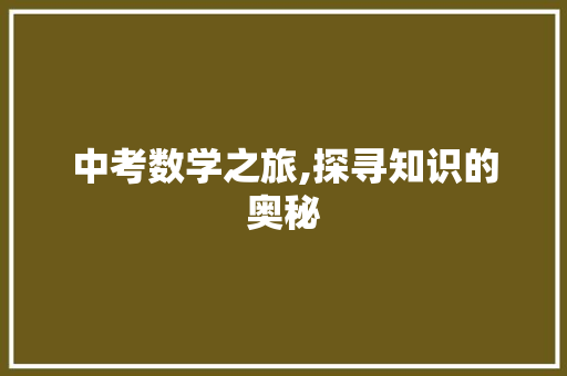 中考数学之旅,探寻知识的奥秘