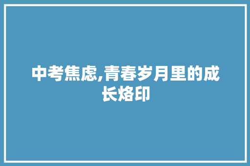 中考焦虑,青春岁月里的成长烙印