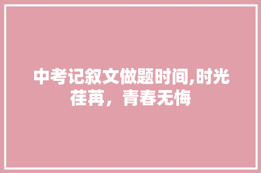 中考记叙文做题时间,时光荏苒，青春无悔