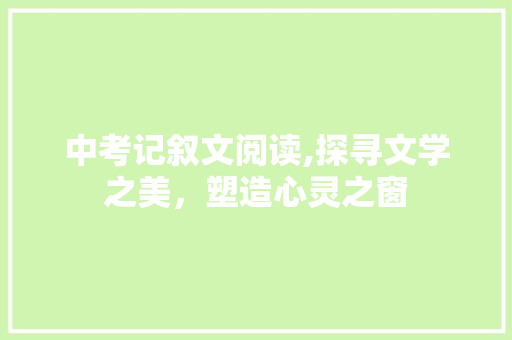 中考记叙文阅读,探寻文学之美，塑造心灵之窗