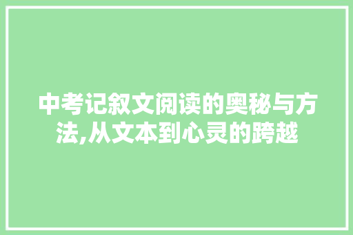 中考记叙文阅读的奥秘与方法,从文本到心灵的跨越