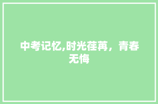 中考记忆,时光荏苒，青春无悔