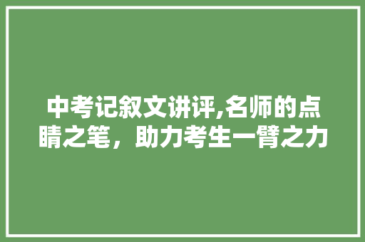 中考记叙文讲评,名师的点睛之笔，助力考生一臂之力