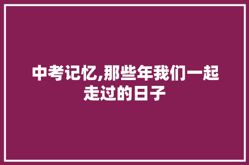 中考记忆,那些年我们一起走过的日子