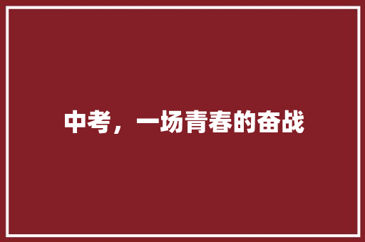 中考，一场青春的奋战