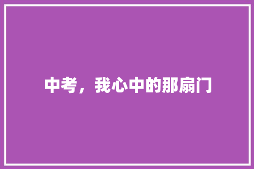 中考，我心中的那扇门