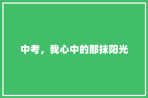 中考，我心中的那抹阳光