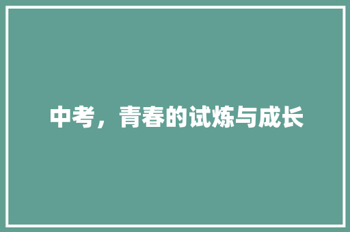 中考，青春的试炼与成长