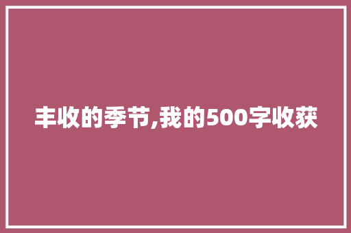 丰收的季节,我的500字收获