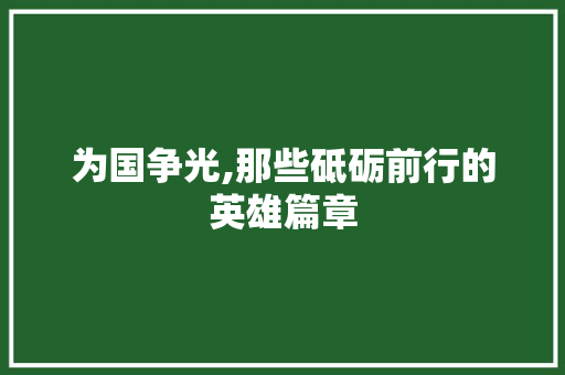 为国争光,那些砥砺前行的英雄篇章